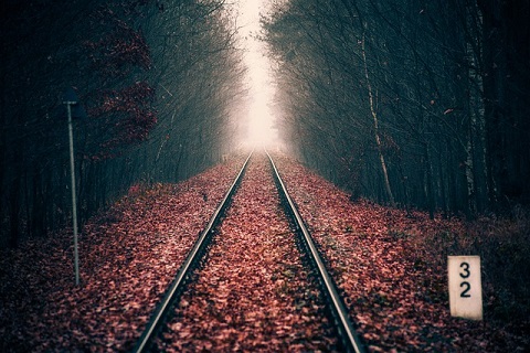 Railway tracks in the forest