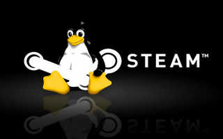 Steam logo + Tux
