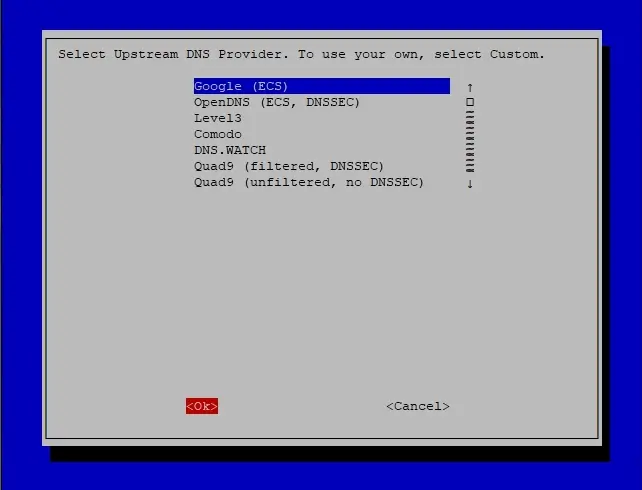 Pi-hole installer select DNS