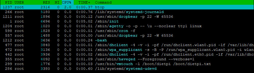 Example htop process list on DietPi