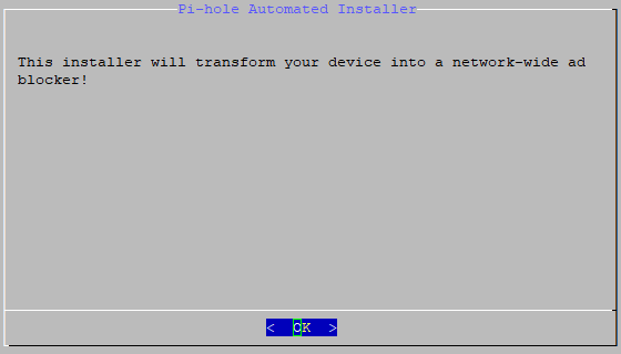 Pi hole welcome screen