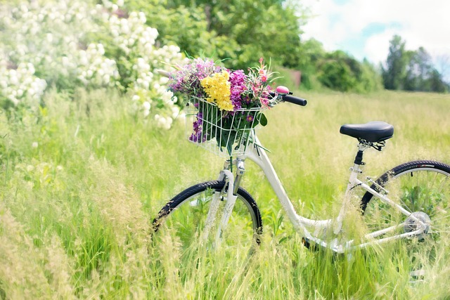Bike in grassland