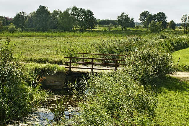 Bridge and grassland