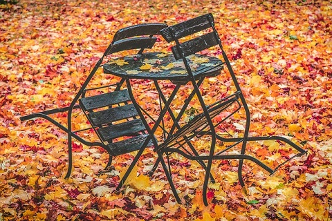 Chair and leaves
