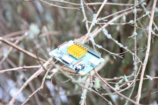 Raspberry Pi 3A+ on a tree