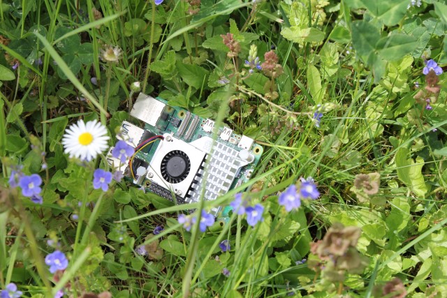 Raspberry Pi 5 in grass