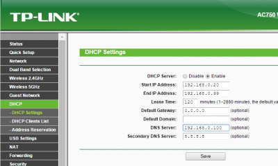 DietPi DNS server software router setup