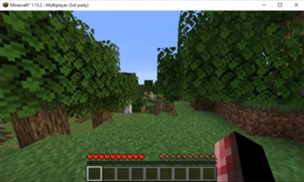 PaperMC screenshot