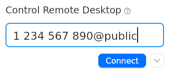 RustDesk Client connect to the public RustDesk Server