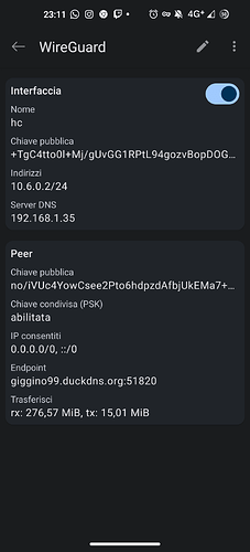 Screenshot_20230403-231110_WireGuard