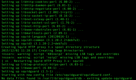 dietpi-squid3-warning-noip.png