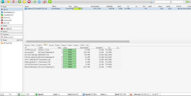 rTorrent GUI screenshot